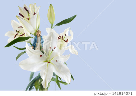 Virgin mary madonna figurine standing among white lilies Virgin mary madonna figurine standing among white lilies 141914071