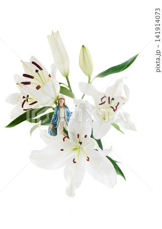 Virgin mary statue with white lilies representing purity Virgin mary statue with white lilies representing purity 141914073