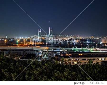 港の見える丘公園から望むライトアップされた横浜ベイブリッジの美しい夜景 港の見える丘公園から望むライトアップされた横浜ベイブリッジの美しい夜景 141914169