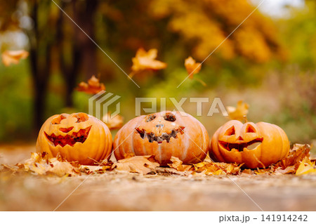 Set of orange pumpkins for halloween. Holidays, decoration concept. 141914242