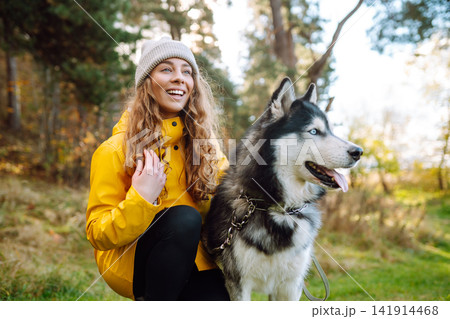 Woman with her husky dog walks in autumn forest. A cheerful pet spends time with its owner outdoors. 141914468