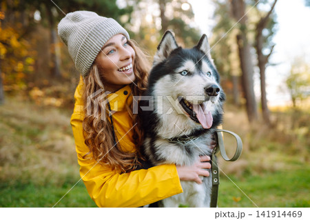 Woman with her husky dog walks in autumn forest. A cheerful pet spends time with its owner outdoors. Woman with her husky dog walks in autumn forest. A cheerful pet spends time with its owner outdoors. 141914469