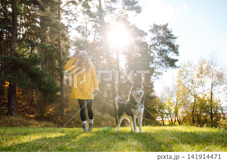 Woman with her husky dog walks in autumn forest. A cheerful pet spends time with its owner outdoors. Woman with her husky dog walks in autumn forest. A cheerful pet spends time with its owner outdoors. 141914471