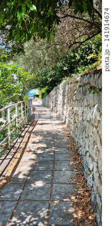 Stone pathway leading to the sea in Uvala Scott, Croatia Stone pathway leading to the sea in Uvala Scott, Croatia 141914674