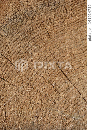 Rough texture of a cut wooden log background Rough texture of a cut wooden log background 141914739