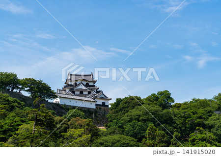 玄宮園から望む国宝・彦根城天守 141915020