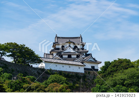 玄宮園から望む国宝・彦根城天守 141915023