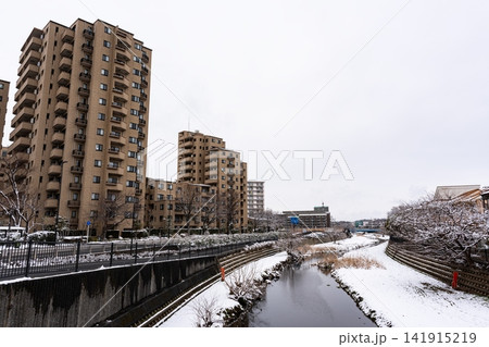 雪景色の品川通り 大町橋からの眺め 野川 柴崎駅と国領駅の間 東京都調布市菊野台 雪景色の品川通り 大町橋からの眺め 野川 柴崎駅と国領駅の間 東京都調布市菊野台 141915219