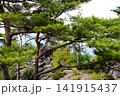 鬼押出しからの景色 141915437