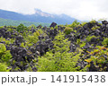 鬼押出しからの景色 141915438
