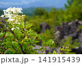 鬼押出しからの景色 141915439