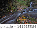 九頭の竜の滝と枯葉たち 141915584