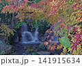 滝とモミジと緑の葉 141915634