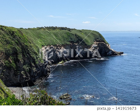 城ヶ島の展望台から望む緑に覆われた海食崖の絶景 城ヶ島の展望台から望む緑に覆われた海食崖の絶景 141915673