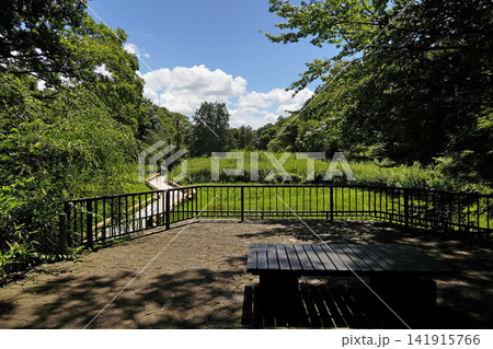 神代植物公園 水生植物園 神代植物公園 水生植物園 141915766