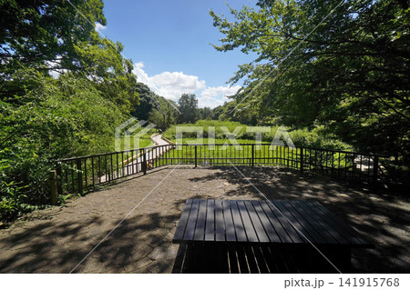 神代植物公園 水生植物園 141915768