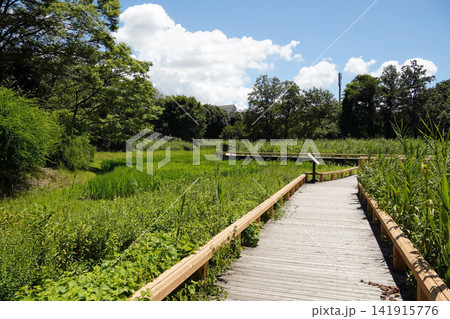 神代植物公園 水生植物園 141915776