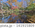 紅葉の日本庭園 141915809