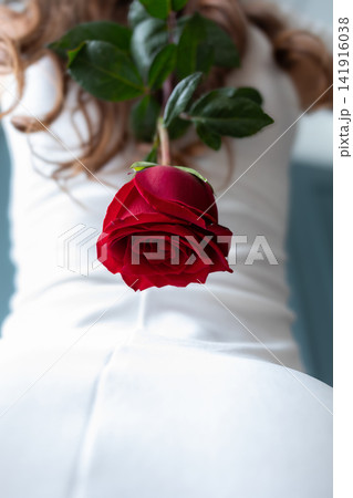Close-up of a deep red rose held toward the camera by a woman in a white dress, creating romantic floral imagery with selective focus, elegant styling and a soft intimate mood now Close-up of a deep red rose held toward the camera by a woman in a white dress, creating romantic floral imagery with selective focus, elegant styling and a soft intimate mood now 141916038