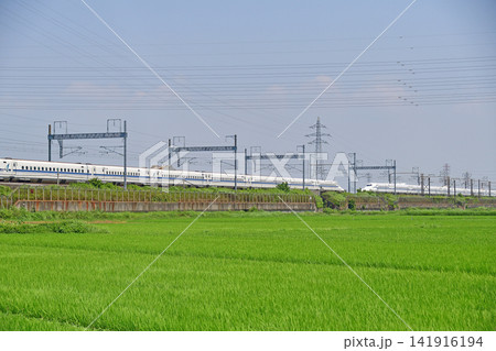 東海道本線 新横浜-小田原 JR東海 N700S系9000番台 J0編成(東京) 確認試験車 東海道本線 新横浜-小田原 JR東海 N700S系9000番台 J0編成(東京) 確認試験車 141916194