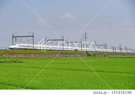 東海道本線 新横浜-小田原 JR東海 N700S系 J26編成(東京) のぞみ ひかり 東海道本線 新横浜-小田原 JR東海 N700S系 J26編成(東京) のぞみ ひかり 141916196