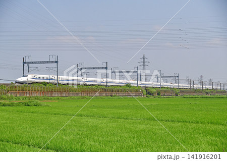 東海道本線 新横浜-小田原 JR東海 N700A系1000番台 G20編成(東京) のぞみ ひかり 東海道本線 新横浜-小田原 JR東海 N700A系1000番台 G20編成(東京) のぞみ ひかり 141916201
