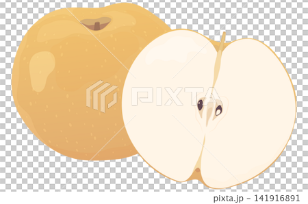 A realistic illustration of a pear and its cross-section. A realistic illustration of a pear and its cross-section. 141916891