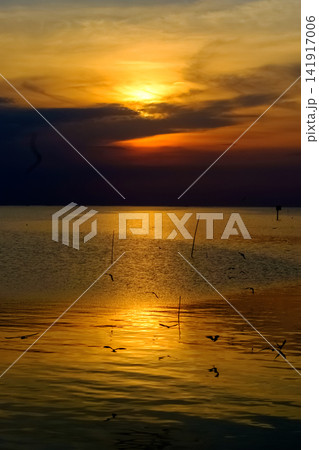 Stunning Sunset golden hour sky Over Tranquil Ocean Waters with Birds Stunning Sunset golden hour sky Over Tranquil Ocean Waters with Birds 141917006