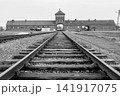 「死の門」・アウシュヴィッツ第二強制収容所(ビルケナウ)の鉄道引込線 世界遺産 「死の門」・アウシュヴィッツ第二強制収容所(ビルケナウ)の鉄道引込線 世界遺産 141917075