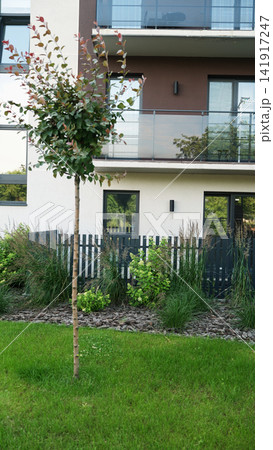 Modern apartment building facade with balconies, garden landscaping, green grass, and small tree Modern apartment building facade with balconies, garden landscaping, green grass, and small tree 141917247