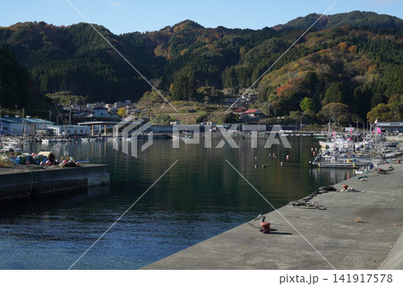 岩手県_釜石市_尾崎半島・尾崎白浜漁港 岩手県_釜石市_尾崎半島・尾崎白浜漁港 141917578