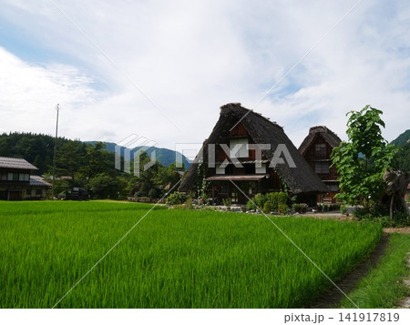 白川郷の田園風景 白川郷の田園風景 141917819