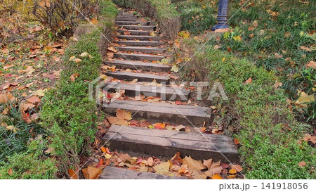 Stone Stairs Covered with Autumn Leaves in Park Pathway 141918056