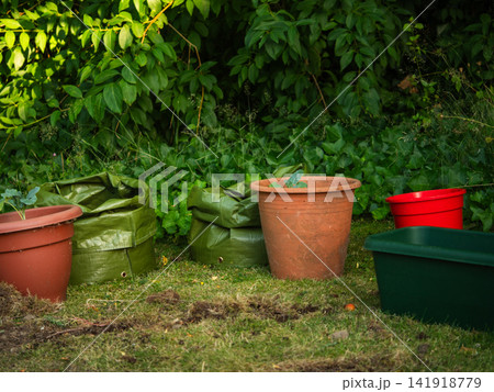 Green grow bag and plant pots 141918779