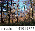 風越山山頂の木々 141919227