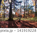 風越山山頂 141919228