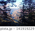 風越山山頂付近から見た風景 141919229