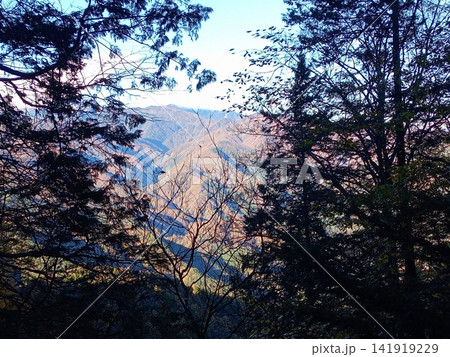 風越山山頂付近から見た風景 風越山山頂付近から見た風景 141919229