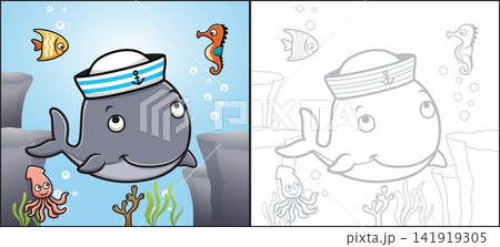 Vector cartoon of whale wearing sailor cap with fish, seahorse and squid. Coloring book or page Vector cartoon of whale wearing sailor cap with fish, seahorse and squid. Coloring book or page 141919305