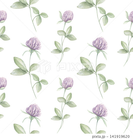 Seamless watercolor pattern with purple clover flowers and green leaves on isolated background. Botanical floral ornate for textile, wallpaper, stationery, wrapping paper, and spring design. 141919620