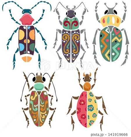 Vector illustration of hand drawn beetles with colorful ornaments Vector illustration of hand drawn beetles with colorful ornaments 141919666