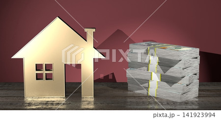 House shape, money - 3D rendering 141923994