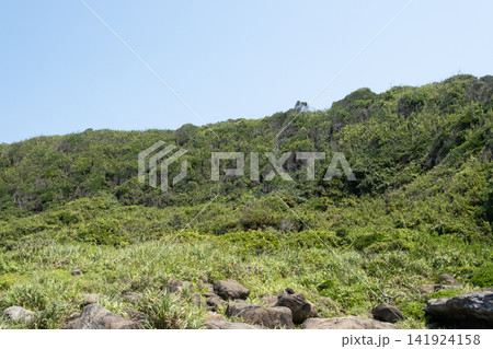 青い空と緑の草原が続く城ヶ島海岸の岬の風景 青い空と緑の草原が続く城ヶ島海岸の岬の風景 141924158