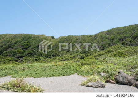 青い空と緑の草原が続く城ヶ島海岸の岬の風景 青い空と緑の草原が続く城ヶ島海岸の岬の風景 141924160