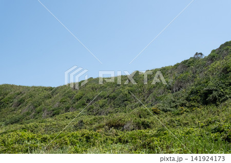 青い空と緑の草原が続く城ヶ島海岸の岬の風景 青い空と緑の草原が続く城ヶ島海岸の岬の風景 141924173