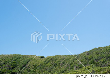 青い空と緑の草原が続く城ヶ島海岸の岬の風景 青い空と緑の草原が続く城ヶ島海岸の岬の風景 141924175