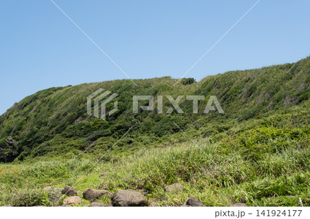 青い空と緑の草原が続く城ヶ島海岸の岬の風景 141924177