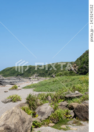青い空と緑の草原が続く城ヶ島海岸の岬の風景 青い空と緑の草原が続く城ヶ島海岸の岬の風景 141924182