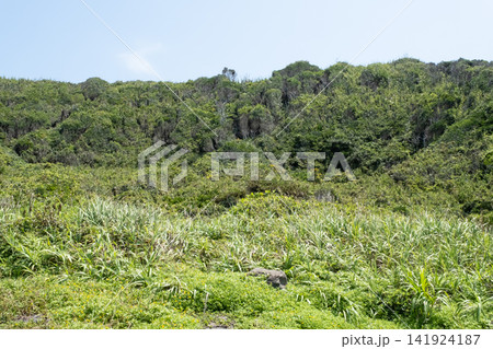 青い空と緑の草原が続く城ヶ島海岸の岬の風景 青い空と緑の草原が続く城ヶ島海岸の岬の風景 141924187