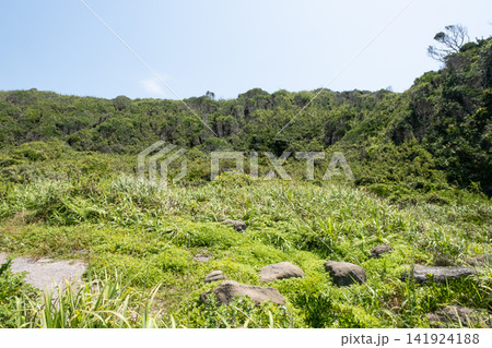 青い空と緑の草原が続く城ヶ島海岸の岬の風景 青い空と緑の草原が続く城ヶ島海岸の岬の風景 141924188